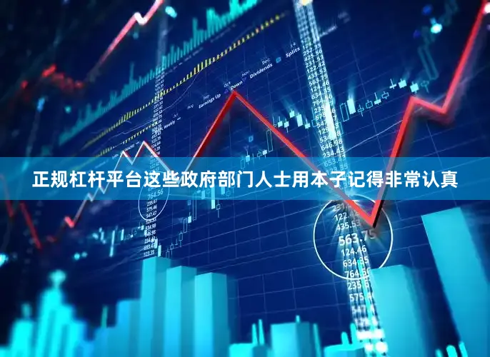 正规杠杆平台这些政府部门人士用本子记得非常认真