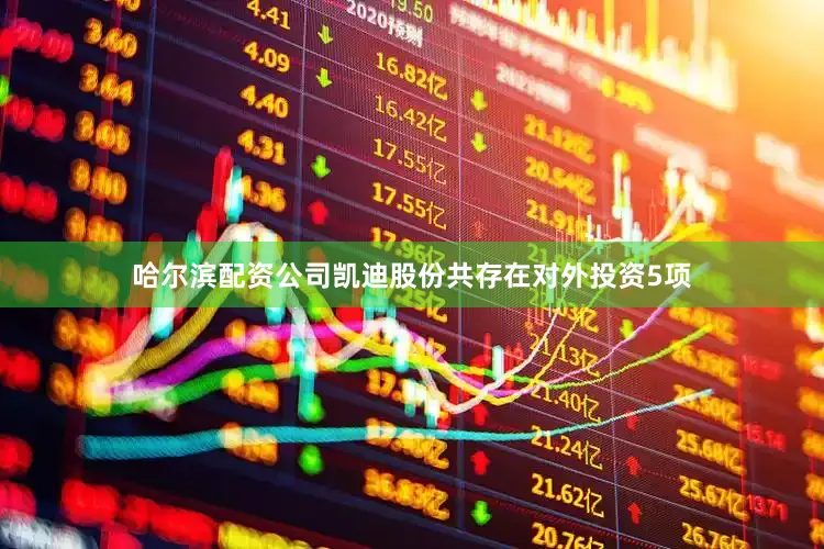 哈尔滨配资公司凯迪股份共存在对外投资5项