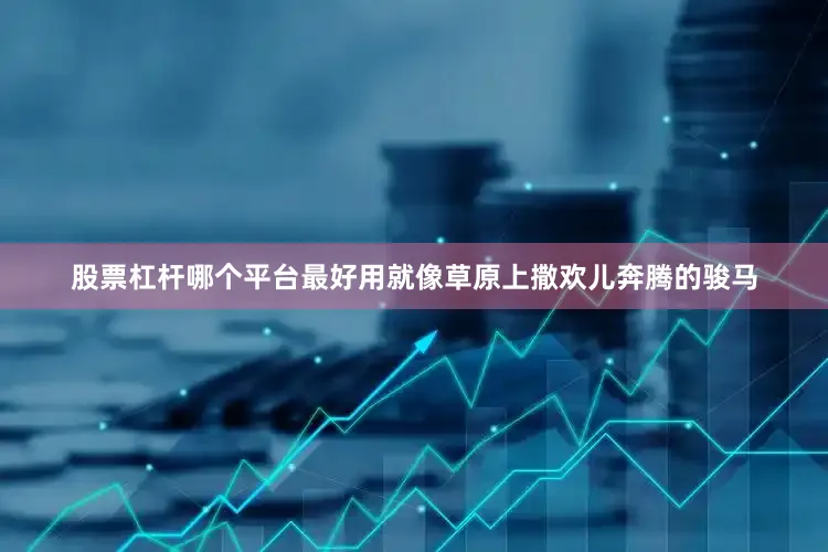 股票杠杆哪个平台最好用就像草原上撒欢儿奔腾的骏马