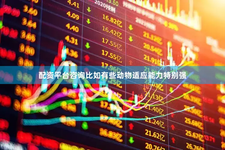 配资平台咨询比如有些动物适应能力特别强