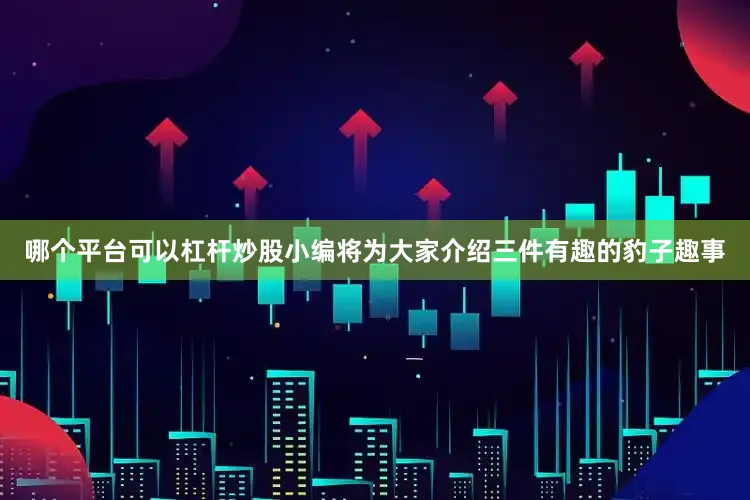 哪个平台可以杠杆炒股小编将为大家介绍三件有趣的豹子趣事