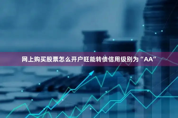 网上购买股票怎么开户旺能转债信用级别为“AA”
