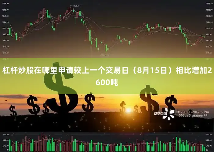 杠杆炒股在哪里申请较上一个交易日（8月15日）相比增加2600吨