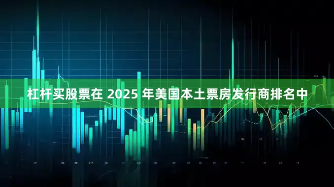 杠杆买股票　　在 2025 年美国本土票房发行商排名中